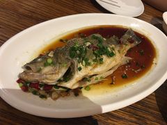 -看见远方·莫干遥远的山民宿