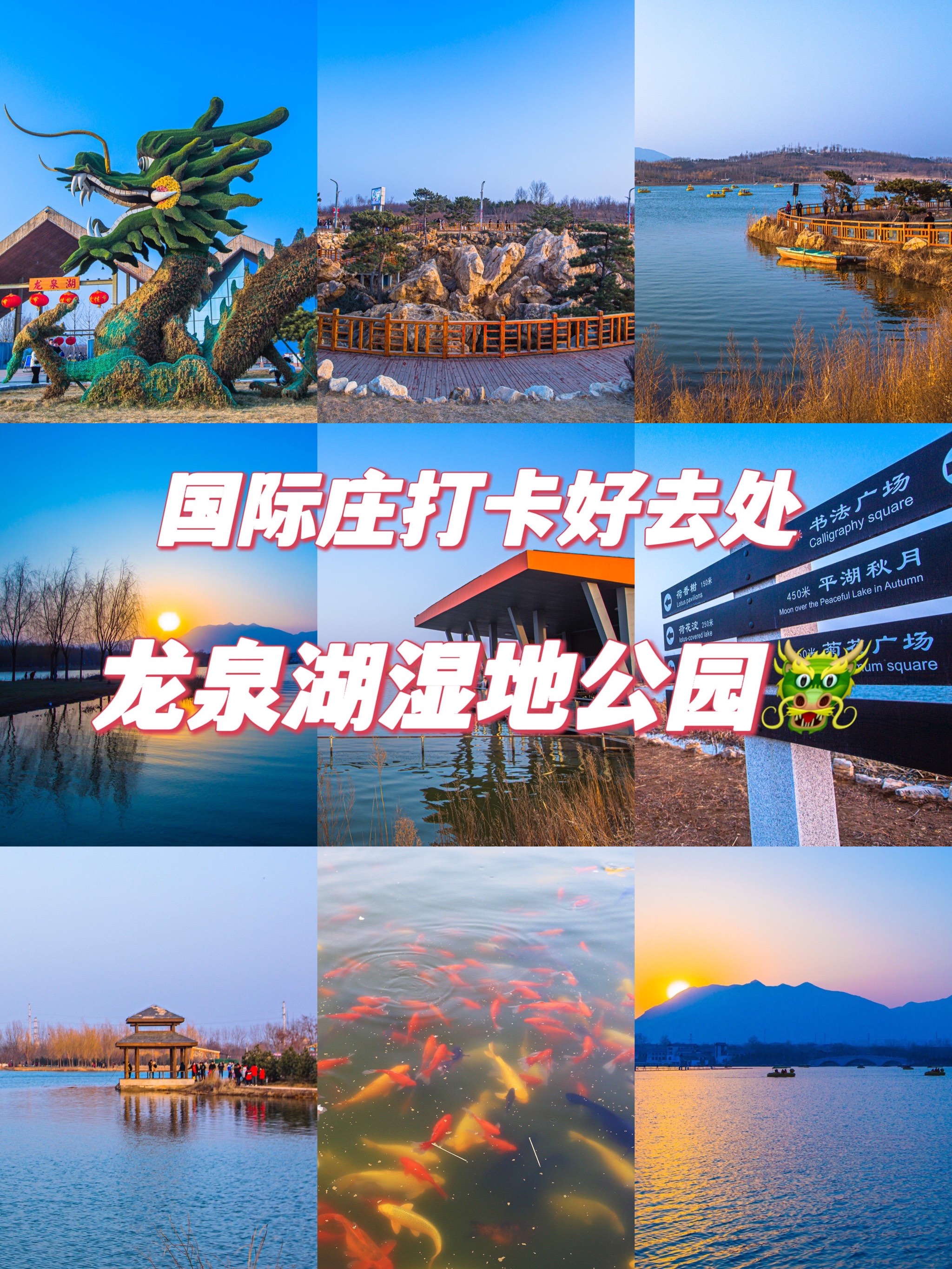 龙泉湖湿地公园门票图片