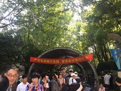 -人民公园-相亲角