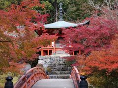 -醍醐寺