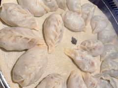 大鹅酸菜蒸饺-挂雪铁锅炖大鹅