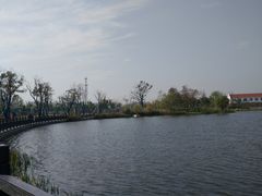 -上海长兴岛郊野公园