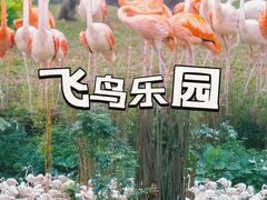 -广州长隆欢乐世界