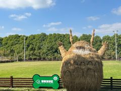 -嘉北郊野公园