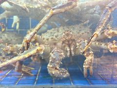 -徐记海鲜(汉城湖|太奥店)