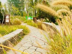 -东郊湿地公园