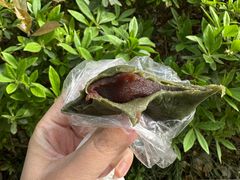 -固海糕团店