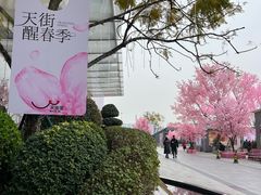 -首开·龙湖成都西宸天街