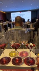 -西安威斯汀大酒店·宴会厅