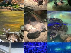 -绿色星球动物主题公园