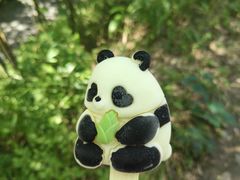 -都江堰中华大熊猫苑