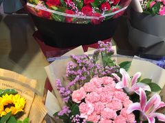 -宝鸡东道花鸟鱼虫市场(吉利花园商场店)