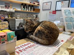 -猫的天空之城概念书店(杭州南宋御街店)