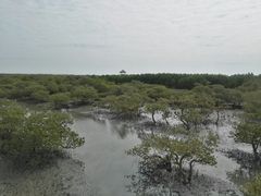 -北海金海湾红树林生态旅游区