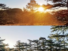 -秦岭风景区