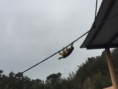 -宁波野生动物园