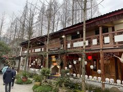 -青城甲(青城山店)