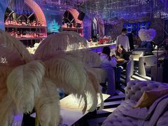 -Darling Queen·Mini·Live·House