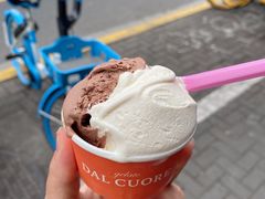 -Dal Cuore 达可芮冰淇淋(陕西北路店)