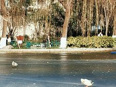 -长乐公园游乐场