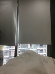 -贞禾医美·连锁