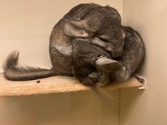 -龙猫仔乐园(惠福东路店)