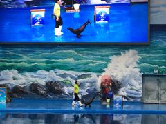 -多彩贵州城极地海洋世界