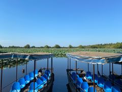 -洪湖生态旅游区