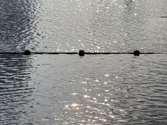 -天鹅湖体育公园