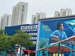 -海合安武汉极地海洋公园