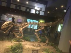 -自贡恐龙博物馆