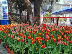 -杭州市第一人民医院(湖滨院区)