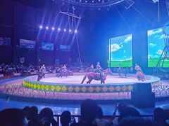 -蓬莱欧乐堡梦幻世界