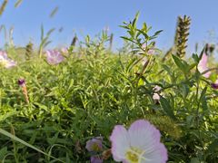 -汉长安城未央宫国家考古遗址公园