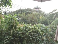 -海边的猫和咖啡馆