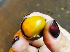 -阿男野栗王(金门路店)