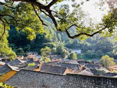 -杨家堂村