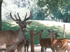 -北京野生动物园