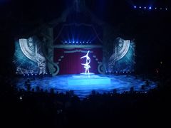 -珠海横琴长隆《卡卡虎奇遇记》