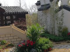 -苏州上方山国家森林公园