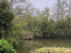 -西溪国家湿地公园