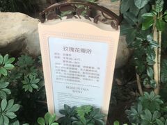 -国信南山温泉