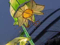 -沈阳奥体冰雪嘉年华