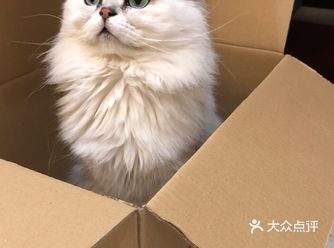 你这样躲起来觉得不好意思就对了