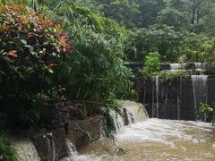 -黔灵山公园
