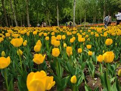 -长春公园(普阳街道)