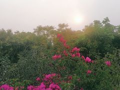 -飞凤山奥体公园