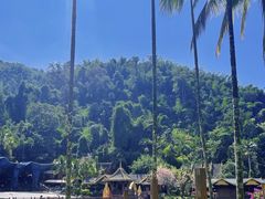 -西双版纳原始森林公园