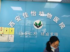 -佳怡动物医院·平价24小时·猫专科骨外科