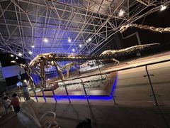 -世界恐龙谷景区